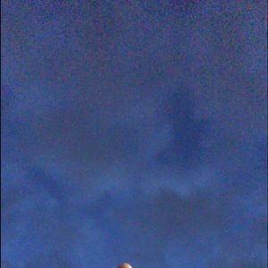 Meet your Posher, Nora